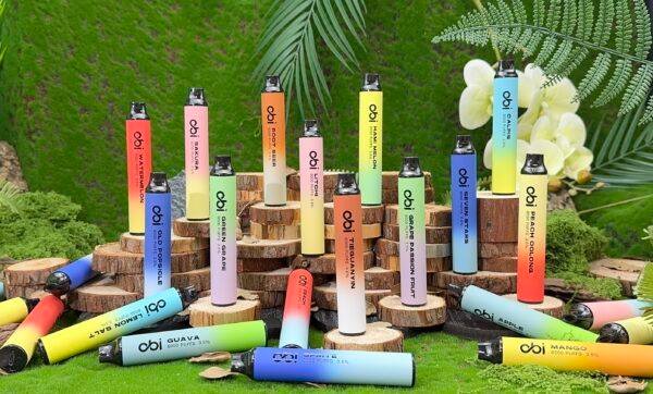 4ac9e400e678fc00710365b215f098e 【一次性】OBI 一次性 8000口 主機 可充電